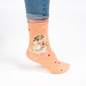 Wrendale Socks – ‘DIET STARTS TOMORROW’ SOCKS